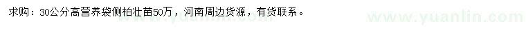 求購高30公分側(cè)柏