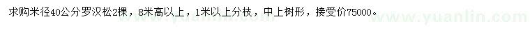 求購(gòu)米徑40公分羅漢松