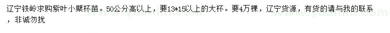 求購高50公分以上紫葉小檗