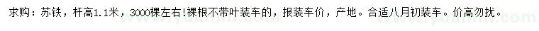 求購桿高1.1米蘇鐵
