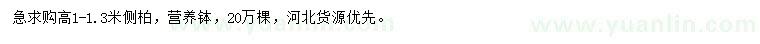 求購高1-1.3米側(cè)柏