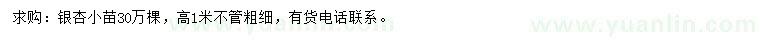 求購高1米銀杏小苗