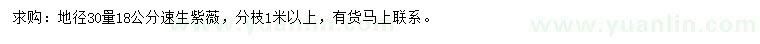 求購(gòu)地徑30量18公分速生紫薇