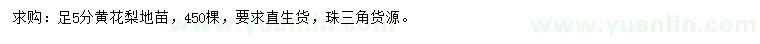 求購足5分黃花梨小苗