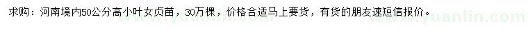 求購高50公分小葉女貞