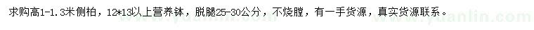 求購高1-1.3米側(cè)柏