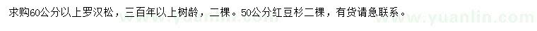 求購(gòu)60公分以上羅漢松、50公分紅豆杉