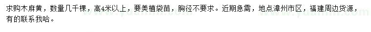求購高4米以上木麻黃