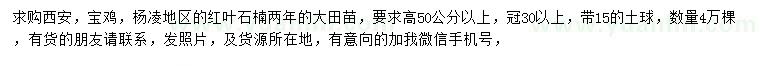 求購(gòu)高50公分以上紅葉石楠