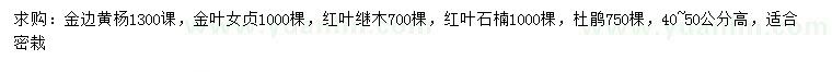 求購(gòu)金邊黃楊、金葉女貞、紅葉繼木等