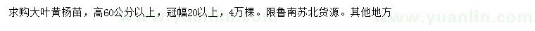 求購(gòu)高60公分以上大葉黃楊苗