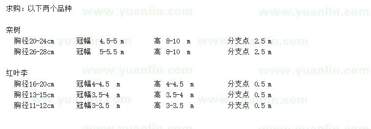 求購高8-10米欒樹、冠幅3-4.5公分紅葉李