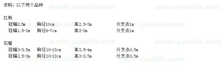 求購冠幅1.5-2.5米紅楓、 胸徑10-13公分石榴