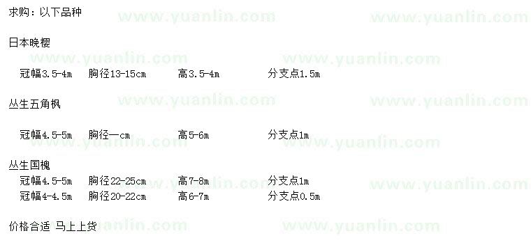 求購日本晚櫻、叢生五角楓、國槐