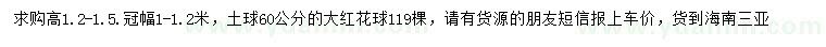 求購高1.2-1.5米大紅花球