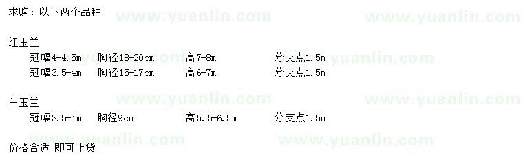 求購冠幅3.5-4.5米紅玉蘭、3.5-4米白玉蘭