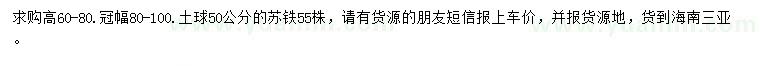 求購高60-80公分蘇鐵