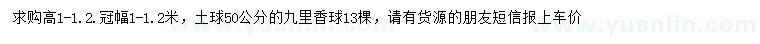 求購高1-1.2米九里香球