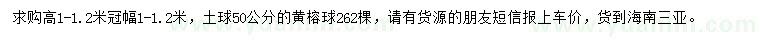 求購高1-1.2米黃榕球