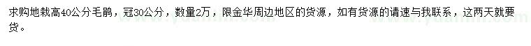 求購高40公分毛鵑
