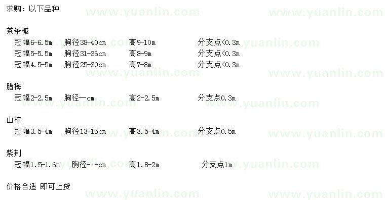求購(gòu)茶條槭、臘梅、山楂樹(shù)等