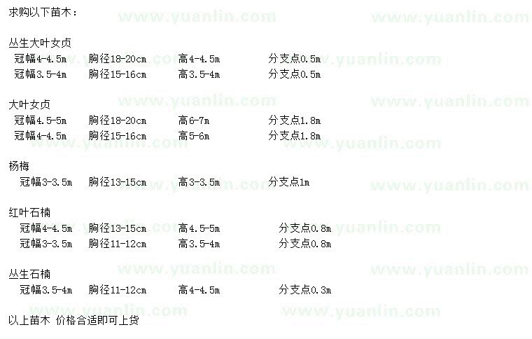 求購(gòu)大葉女貞、楊梅、紅葉石楠