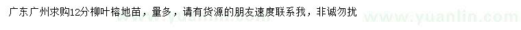 求購(gòu)12公分柳葉榕