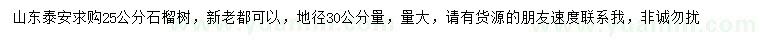求購地徑30公分量25公分石榴樹