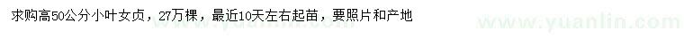 求購高50公分小葉女貞
