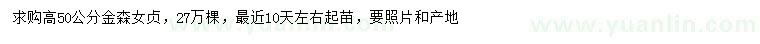求購高50公分金森女貞