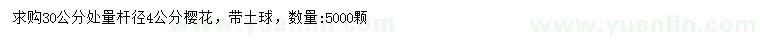 求購30公分處量桿徑4公分櫻花