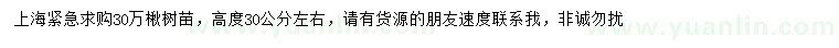 求購高度30公分左右楸樹苗