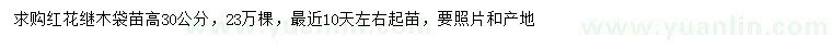 求購高30公分紅花繼木