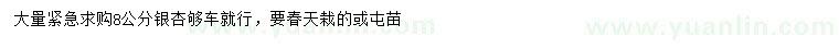 求購8公分銀杏