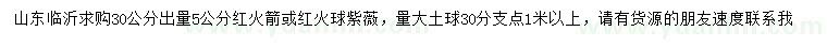 求購30公分出量5公分紅火箭或紅火球紫薇