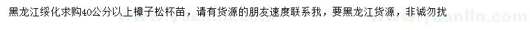 求購40公分以上樟子松