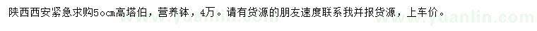 求購(gòu)高50公分塔伯