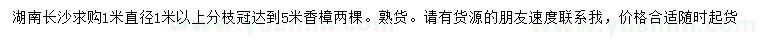 求購直徑1米香樟