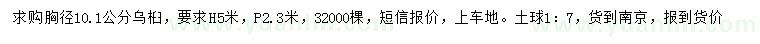 求購胸徑10.1公分烏桕