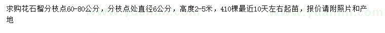 求購直徑6公分花石榴