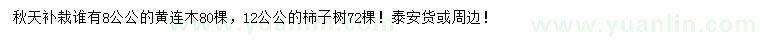 求購8公分黃連木、12公公柿子樹