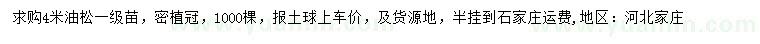求購(gòu)4米油松
