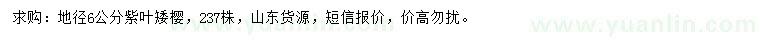 求購(gòu)地徑6公分紫葉矮櫻
