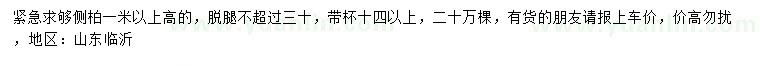 求購高1米以上側柏