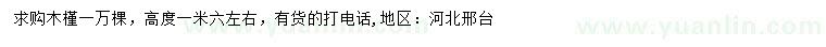 求購高1.6米左右木槿