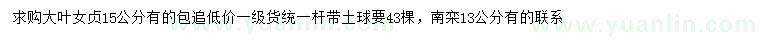 求購15公分大葉女貞、13公分南欒