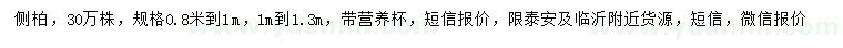 求購0.8-1米、1-1.3米側(cè)柏