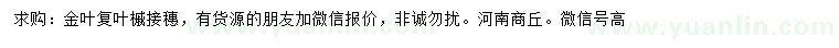 求購(gòu)金葉復(fù)葉槭