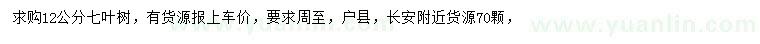求購12公分七葉樹
