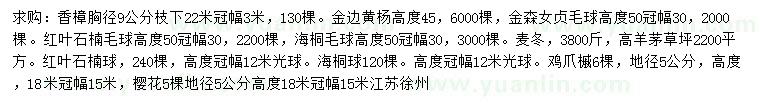 求購香樟、金邊黃楊、金森女貞毛球等